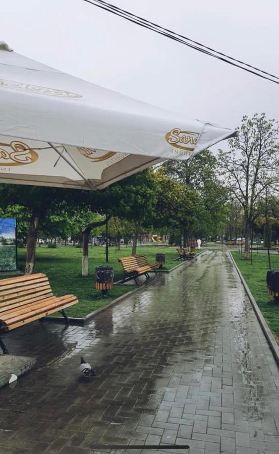 Afganskii Park Apartment Kiszyniów Zewnętrze zdjęcie